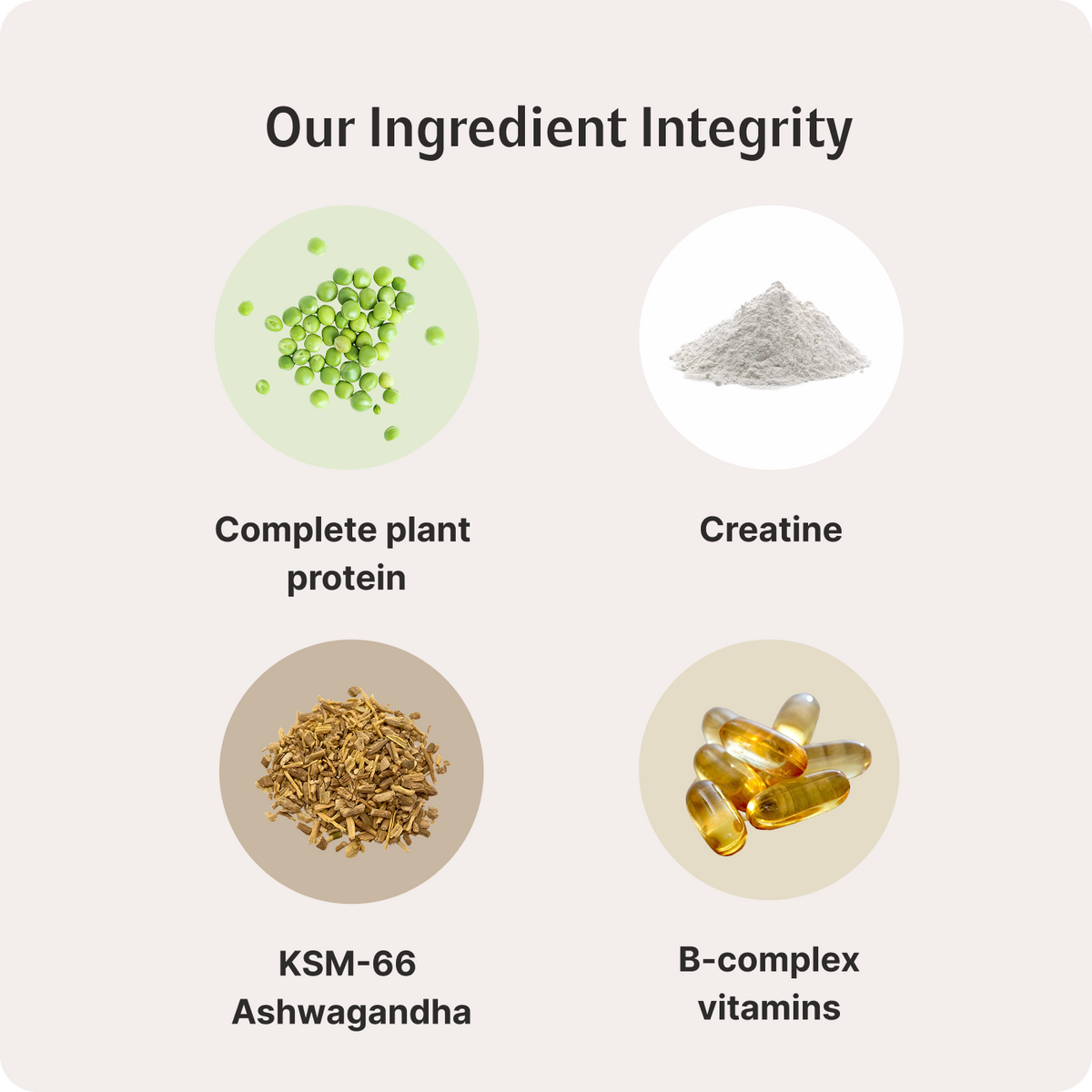 Daily Nutrition Shake for Men