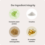 Daily Nutrition Shake for Men