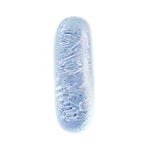 Probiotics
