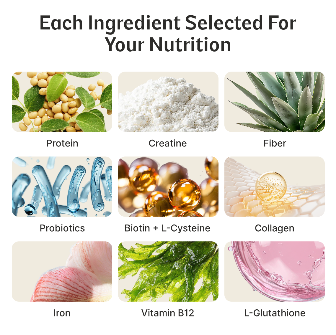 Daily Nutrition Shake for Women