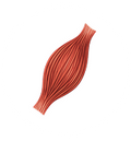 Strong Muscle Supports Strength